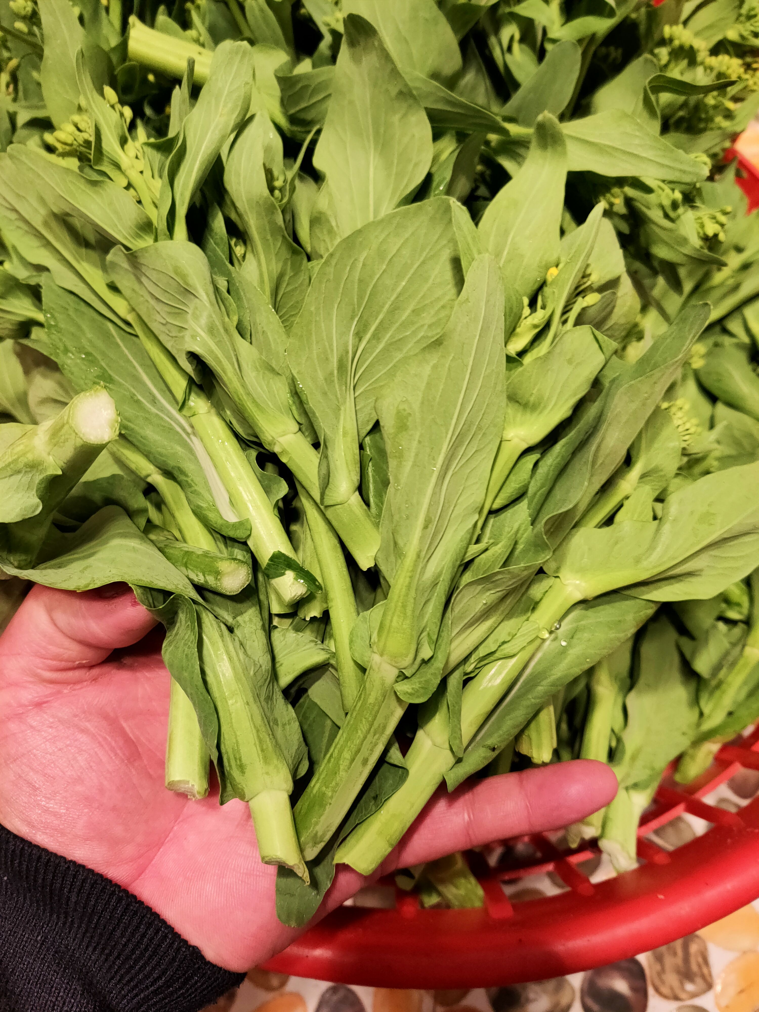 自己家种的白菜苔，1斤