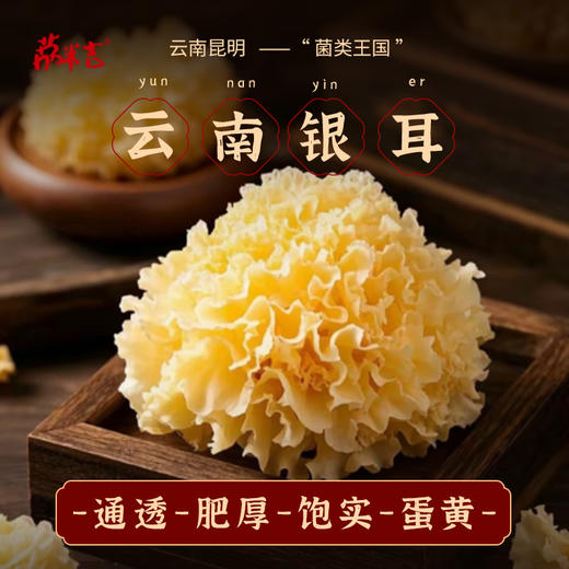 银耳60/袋 商品图0