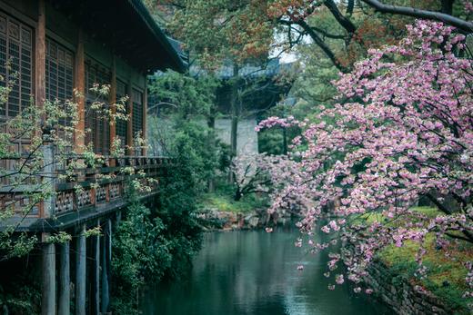 🌸 春日赏花丨濮院时尚古镇×梅尚度假酒店 · 2天1晚套餐丨嘉兴 商品图6