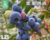 云南高山蓝胖子桶装蓝莓（15+，F6品种）/1箱（约400g*6桶） 商品缩略图2