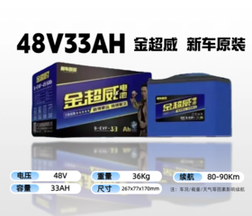 【双十一美点特惠】48V33A 金超威新车原装 武汉到店