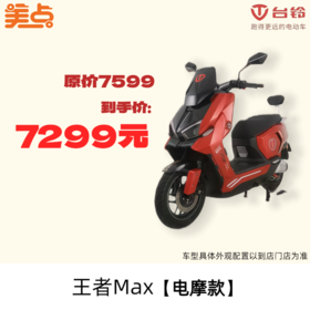 美点-台铃-王者Max【电摩款】