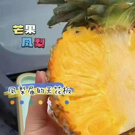 芒果凤梨 默认切好（散称10.8/斤 称重补差） 商品图2