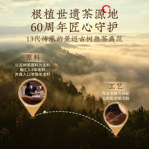【联系客服下单更优惠】澜沧古茶2026年第十三代0085云南名山古树普洱茶熟茶大饼357g 商品图1