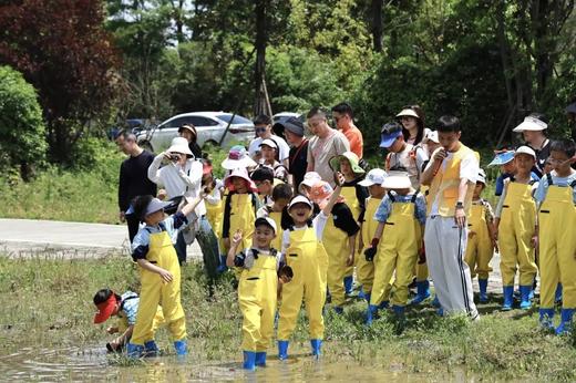 【田间摸鱼·开蚌寻珠】一日亲子活动
🌈童年的每一颗珍珠，都是美的启蒙课。 商品图4