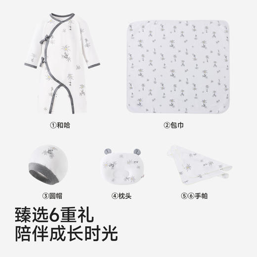 英氏婴儿礼盒四季款宝宝满月礼物新生儿礼盒实用型送礼高档见面礼 商品图4