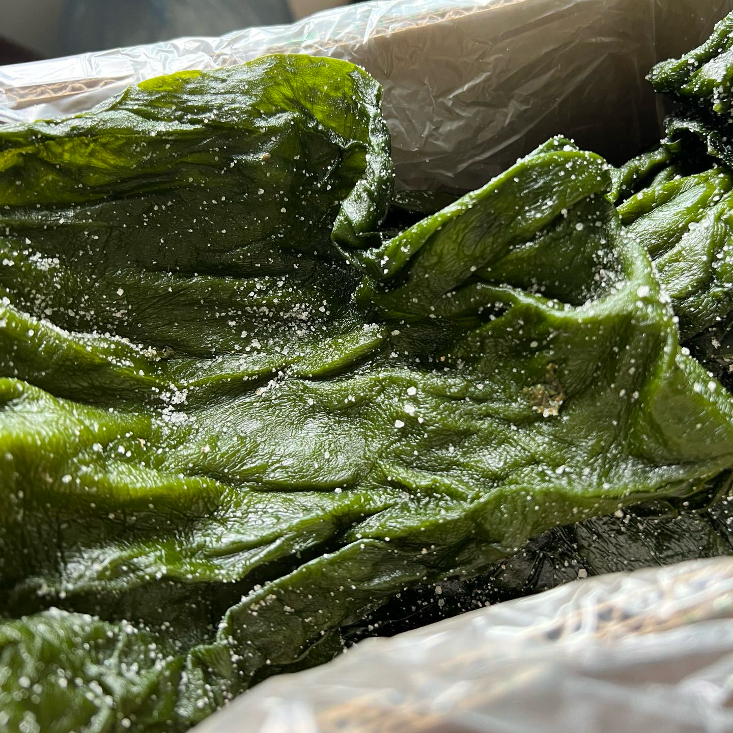 有机盐渍深海嫩海带