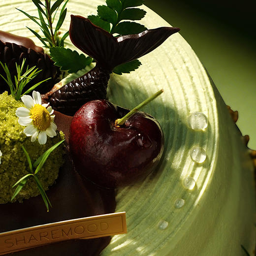 【双鱼座】车厘子开心果巧克力| 旋木烘焙 | 旋木烘焙 商品图3