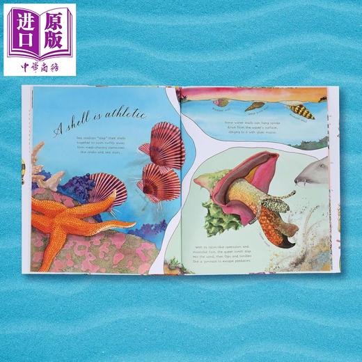 【中商原版】贝壳很舒服 Sylvia Long A Shell Is Cozy 英文原版 儿童百科绘本 精彩自然科普读物 进口童书 精装 精品绘本 商品图3