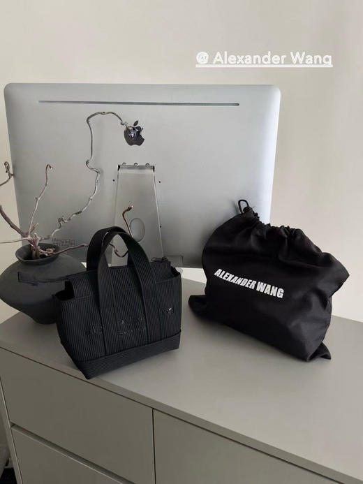 原单正品 𝗔𝗹𝗲𝘅𝗮𝗻𝗱𝗲𝗿 𝗪𝗮𝗻𝗴｜亚历山大王螺纹mini款包包
尺寸:20 *15cm 商品图0