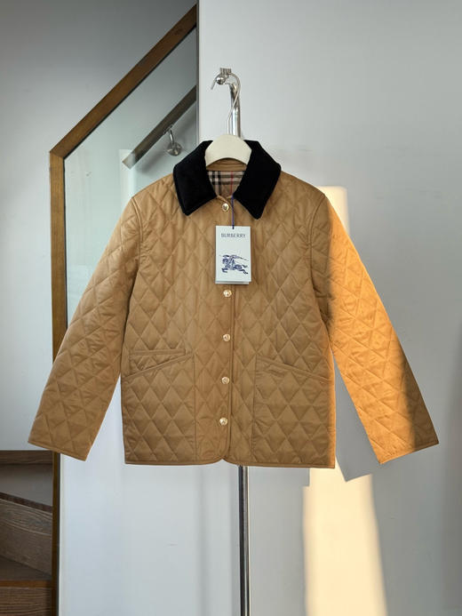 巴宝莉 26蓝标黄金棉服（MM） 商品图0