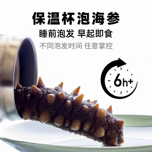 【送泡发杯】鹿岛万帝 速发海参 精美礼盒装 精选野生品质海参 商品图1