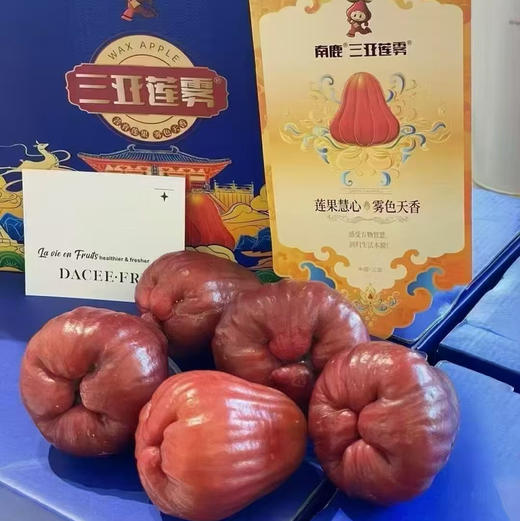 南鹿莲雾莲雾 3斤装 商品图0