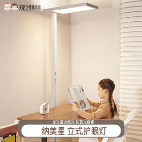 [代发]纳美星立式护眼灯大路灯T800Plus双控版