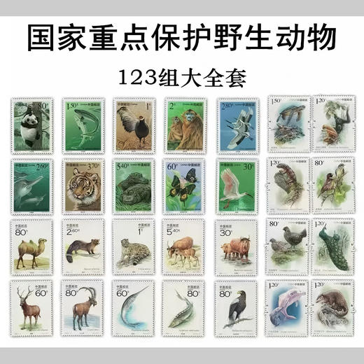 《草原狼王》珍爱野生动物邮票纪念券 | 中国邮政曹操主题邮局出品，纪念券10张+重点保护野*动物套票版张 商品图2