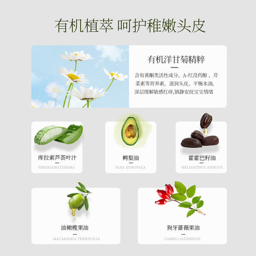 【澳洲直邮 请实名下单 收件人填写完整姓名】BBV洋甘菊洗发露250ml*3瓶 发货后不支持七天无理由哦！ 商品图1