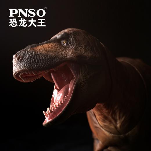 PNSO恐龙大王可动玩具系列01霸王龙卡梅隆 商品图3