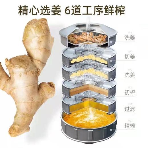 迪彩小种姜鲜榨姜汁强韧焕活护根防脱洗发水380ml效期26年11月 商品图4