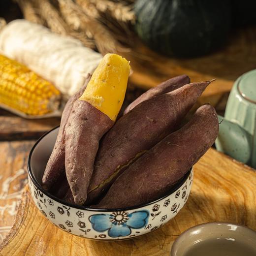 挑剔虎金手指小香薯小地瓜 口感绵密宝宝辅食健康代餐 商品图2