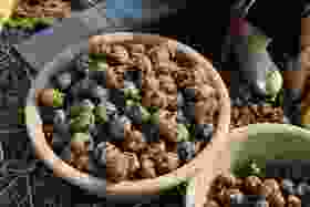 有机荔浦马蹄｜荔浦顺丰