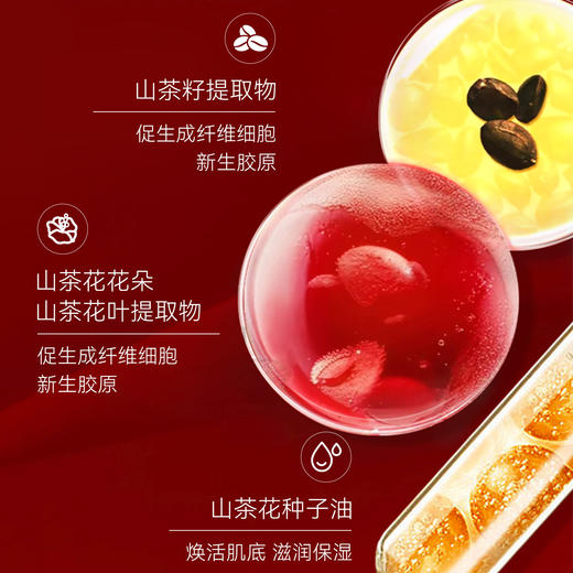 资生堂红妍肌活精华露 IV75ml  A-6160（28-3） 商品图2