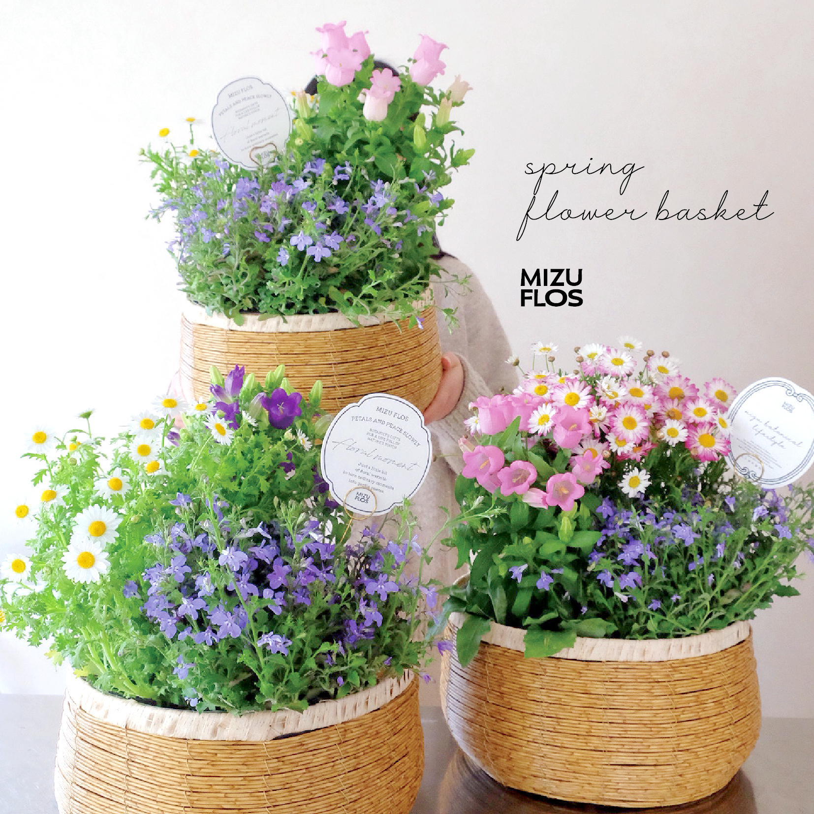 春天里的梦幻花篮（北京闪送）