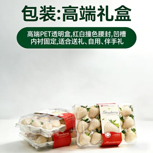 【东滩绿港】梦之芙白草莓 商品图4