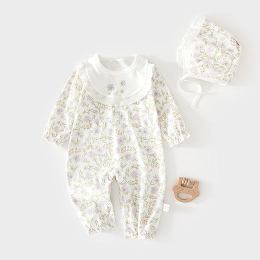 婴儿连体衣女宝宝新生儿无骨春秋纯棉哈衣送帽子婴幼儿童装爬服 商品图3