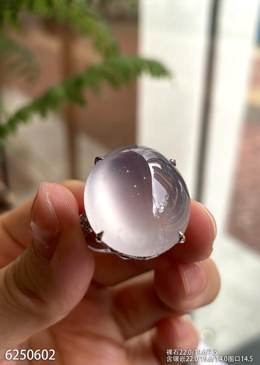 紫罗兰蛋面戒指【6250602】具体价格微信咨询 商品图3