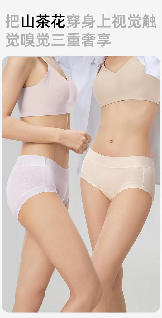7天左右发【加长底档A类山茶花基础内裤】40S高支数，10A抗菌，除臭防螨--MM 商品图3