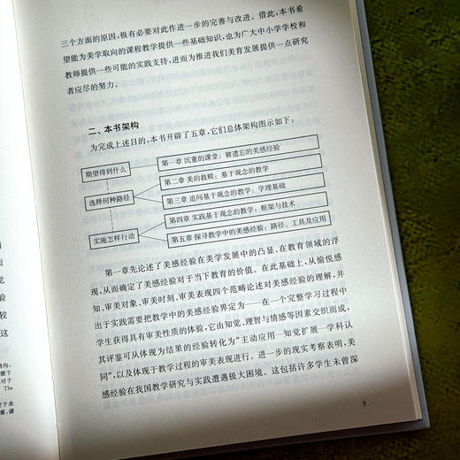 课堂之美 追求美感经验的观念化教学设计 邵朝友 新时代学校美育 商品图8