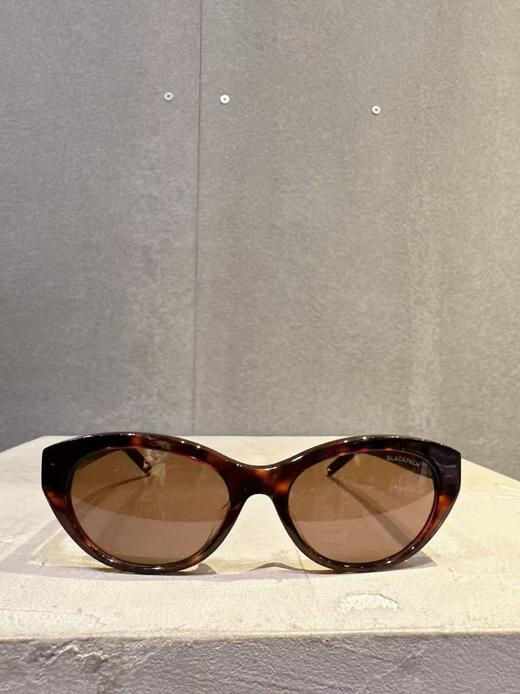 太阳眼镜zo 商品图0