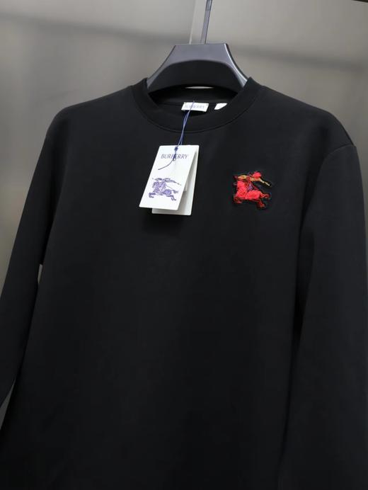 F022774胸前战马植绒刺绣logo情侣款圆领卫衣 商品图3