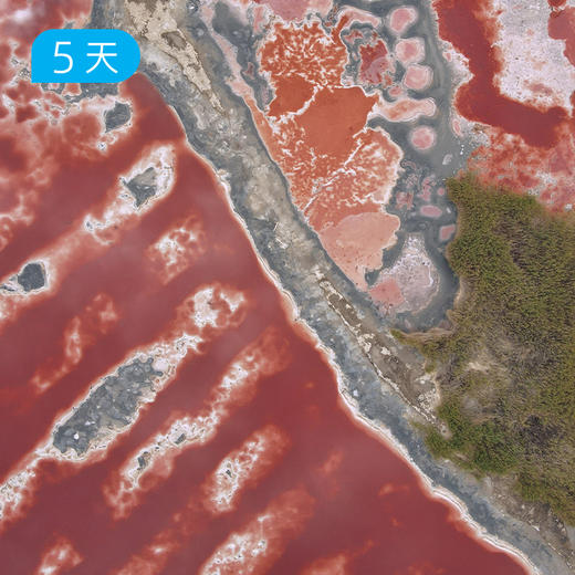 腾格里沙漠｜ 此生必徒 国内十大经典路线之一 5日 商品图14