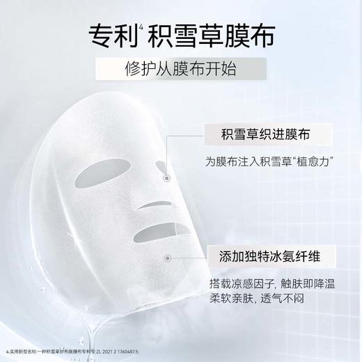 【新品】积雪草安肌特护修红冰纱布面膜34ml*5片/盒 商品图5