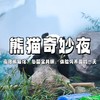【独立营】清明五一连开 | 夜SU熊猫馆，与国宝共眠，化身“熊猫铲屎官”，记录大熊猫的悠然一天~ 商品缩略图0