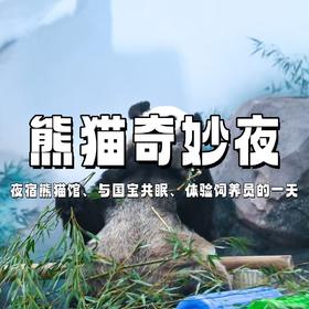 【独立营】清明五一连开 | 夜SU熊猫馆，与国宝共眠，化身“熊猫铲屎官”，记录大熊猫的悠然一天~