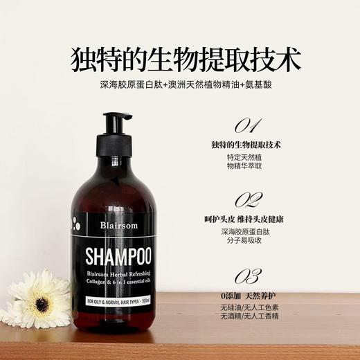 Blairsom布伦森草本控油洗发水 蓬松清爽养发无硅油 500ml 商品图1