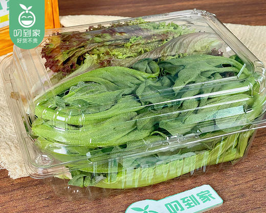 享通绿色沙拉生菜组合（300g±30g/包） 商品图5