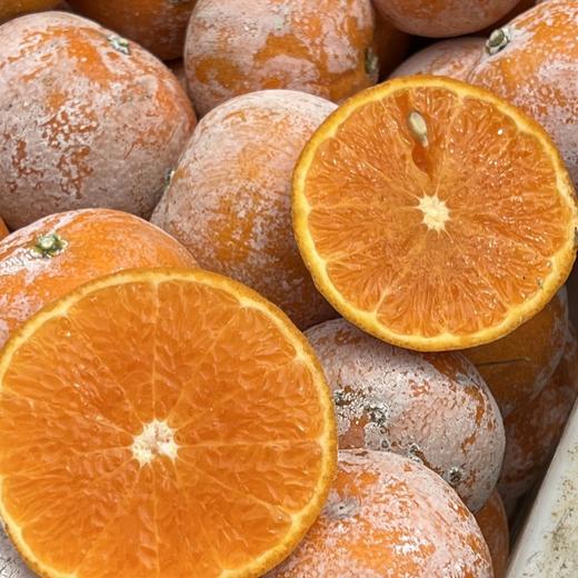 【网红脏脏柑】皮薄肉嫩，富含维C，味如“天然芬达”汽水，每个果子都涂“防晒霜”每年都超火爆的品，快来一起尝鲜啦！ 商品图8