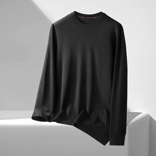 【DDS】大依优型大码男装春季休闲针织毛衫商务百搭圆领长袖T恤毛衣 商品图4