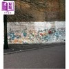 预售 【中商原版】Art in the Streets 进口艺术 街头艺术 Rizzoli 商品缩略图2