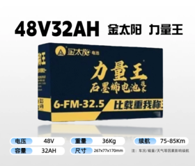 【双十一美点特惠】48V32Ah  金太阳力量王  以旧换新 武汉到店