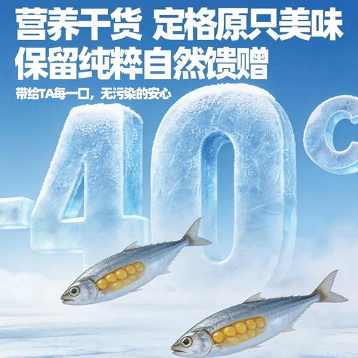 冒险与它满籽冻干多春鱼20g猫咪零食冻干鱼籽小鱼干狗狗零食批发 商品图3