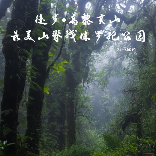 云南｜高黎贡山中南段一日徒步，徒步13-16公里，穿越原始森林/植物科普/生物小课堂/野温泉体验！ 商品图0
