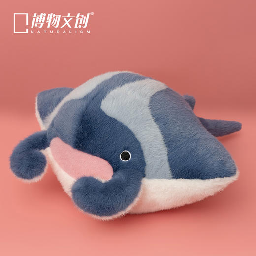 博物文创 大圆宝 双吻前口蝠鲼 海洋动物 新年元旦生日礼物 商品图1