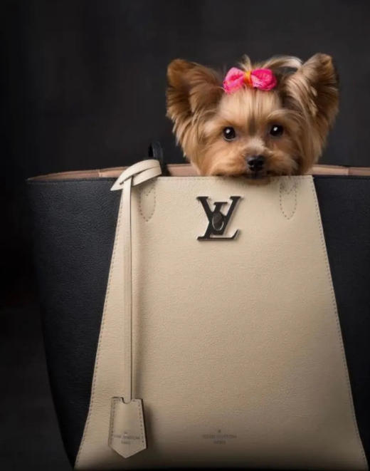 LV lockme cabas 黑拼米 中号 牛皮 购物袋 商品图3