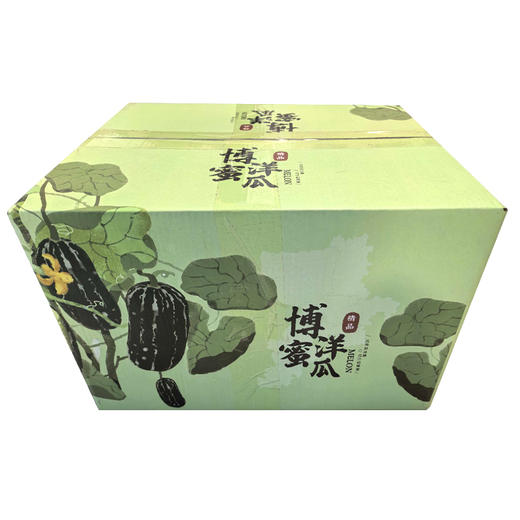 山东博洋9号蜜瓜 当季水果 整箱发货 商品图0