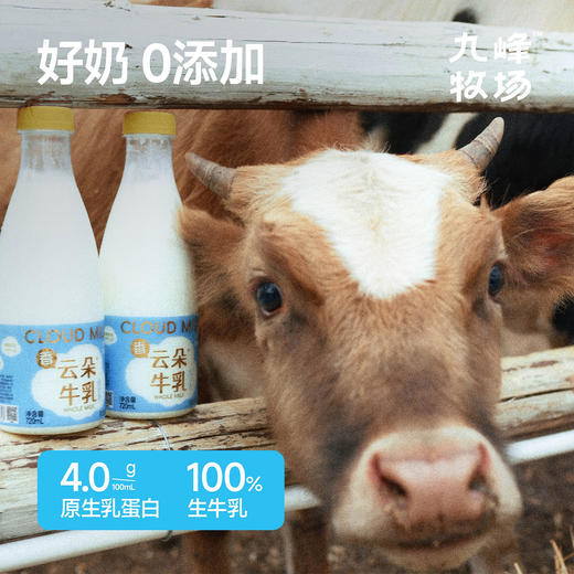 7天内发 企鹅市集|九峰牧场 云朵牛乳720ml 非均质奶 静置天然分层 奶香醇厚浓郁 商品图4