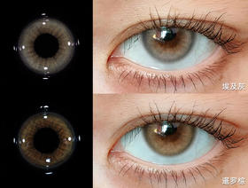 【新增日抛版】🇰🇷韩国门店同步 异域混血BADCAT 日抛